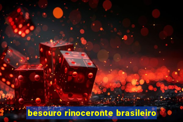 besouro rinoceronte brasileiro