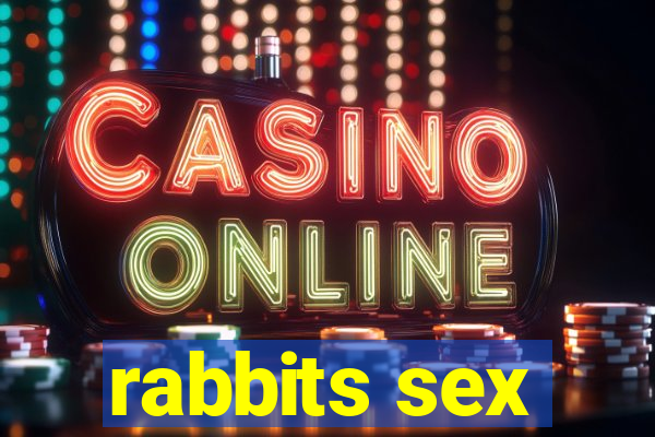 rabbits sex