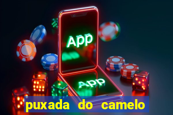 puxada do camelo no jogo do bicho