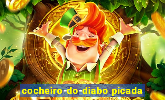 cocheiro-do-diabo picada