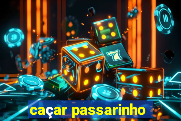 caçar passarinho