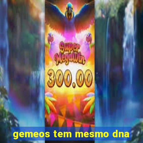 gemeos tem mesmo dna