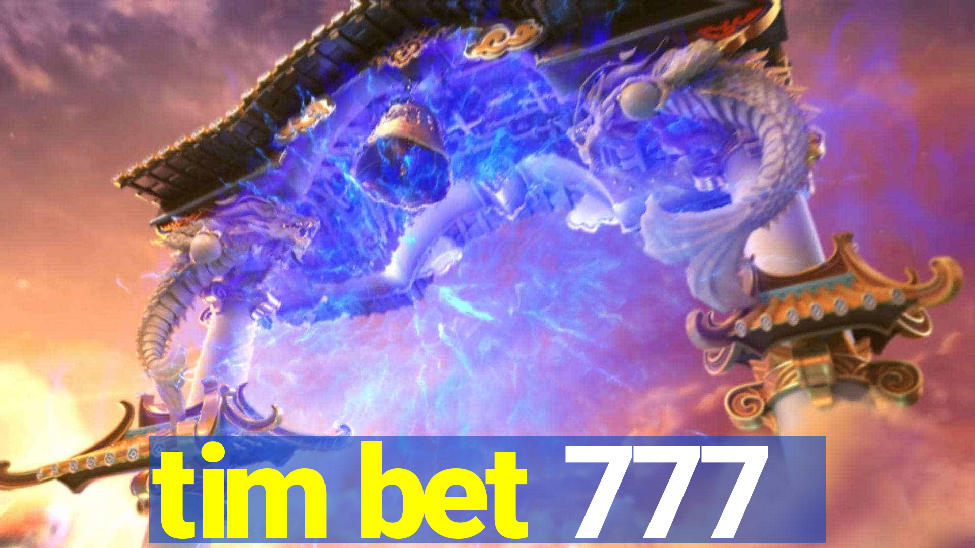 tim bet 777