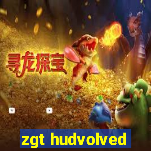 zgt hudvolved