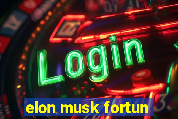 elon musk fortun