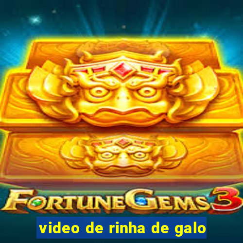 video de rinha de galo