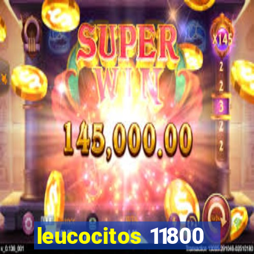 leucocitos 11800