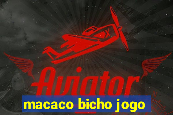 macaco bicho jogo