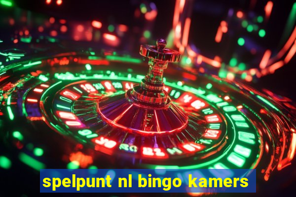 spelpunt nl bingo kamers