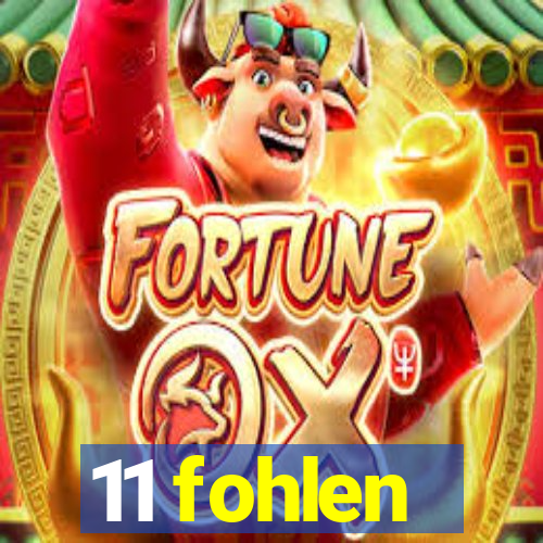 11 fohlen