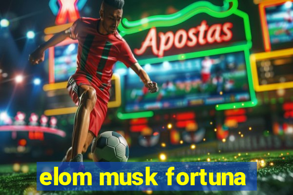 elom musk fortuna