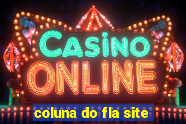 coluna do fla site