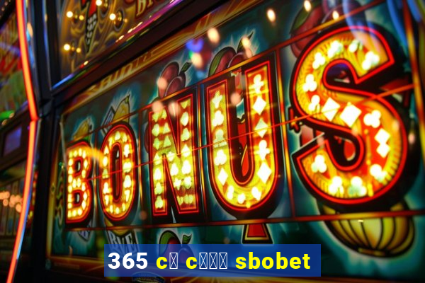 365 c谩 c瓢峄 sbobet