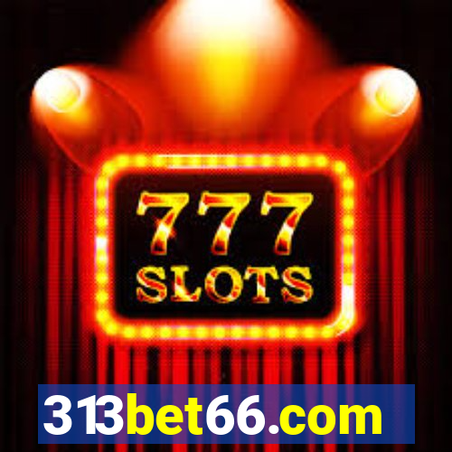 313bet66.com