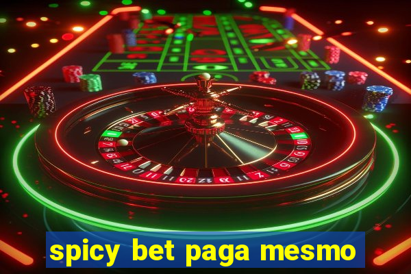 spicy bet paga mesmo