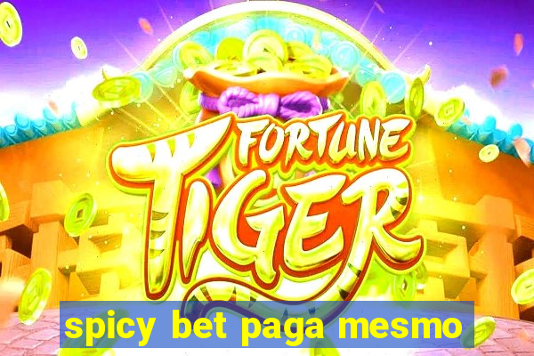 spicy bet paga mesmo