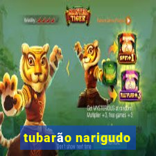 tubarão narigudo