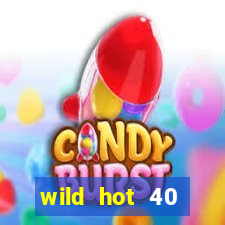 wild hot 40 christmas slot