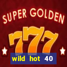 wild hot 40 christmas slot