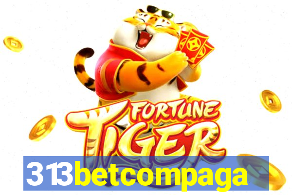 313betcompaga