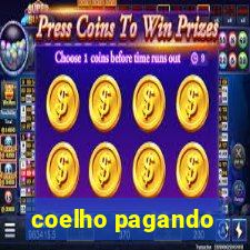 coelho pagando