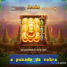 a puxada da cobra no jogo do bicho