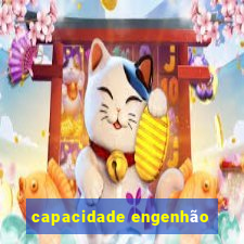 capacidade engenhão