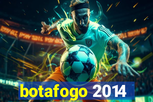 botafogo 2014