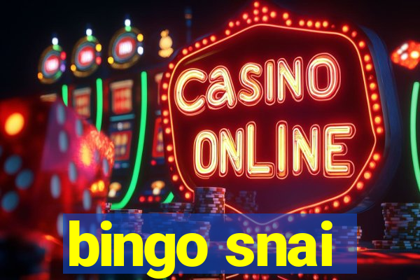 bingo snai