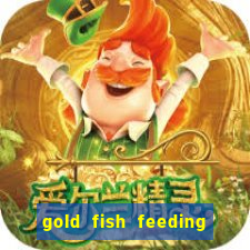 gold fish feeding time slot machine