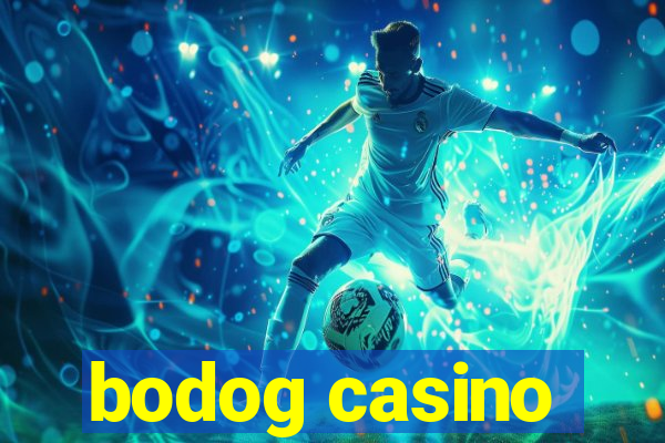 bodog casino