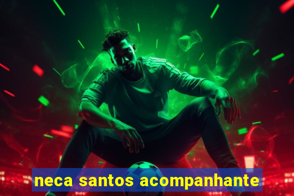 neca santos acompanhante