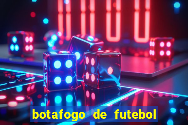 botafogo de futebol e reg