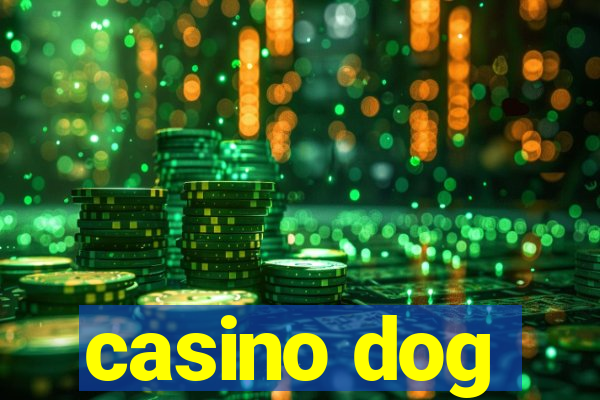 casino dog