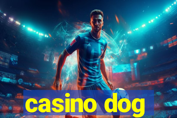 casino dog