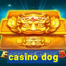 casino dog