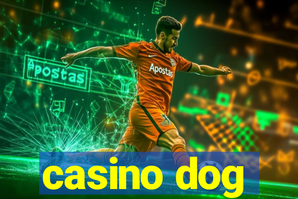 casino dog