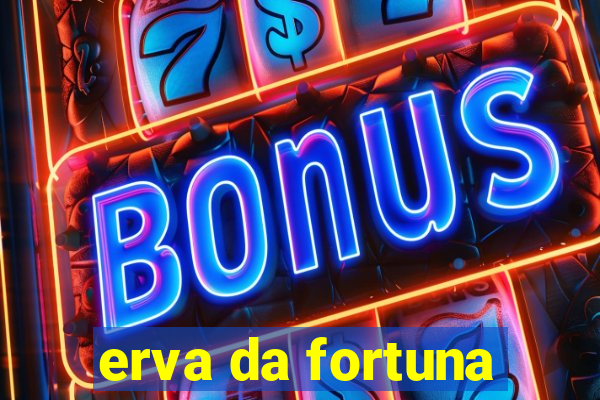 erva da fortuna