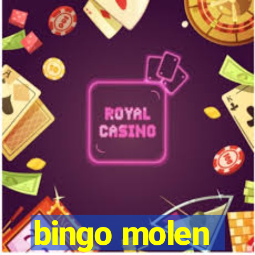 bingo molen