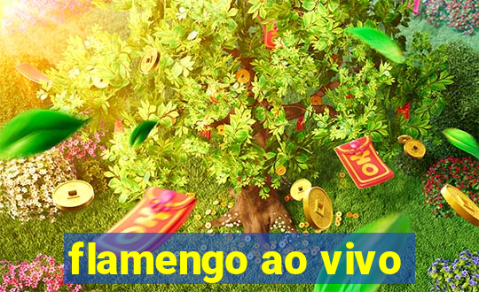 flamengo ao vivo