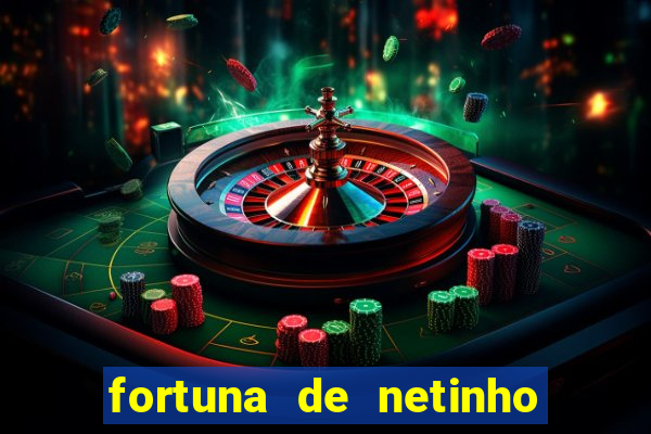 fortuna de netinho de paula