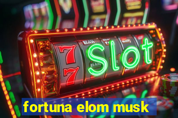 fortuna elom musk