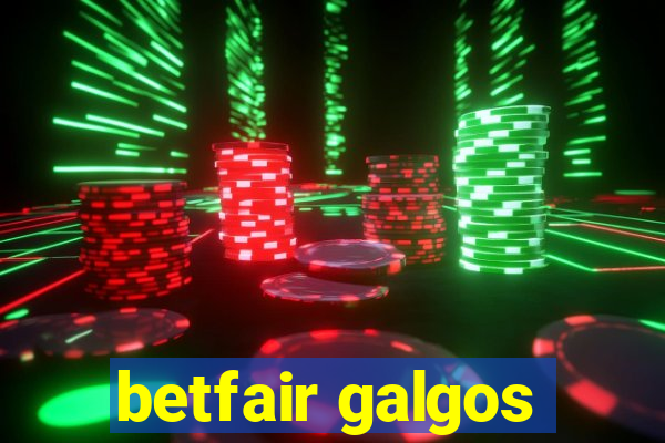 betfair galgos