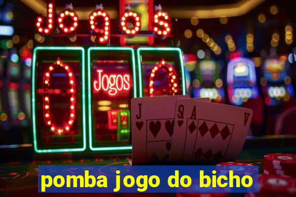 pomba jogo do bicho