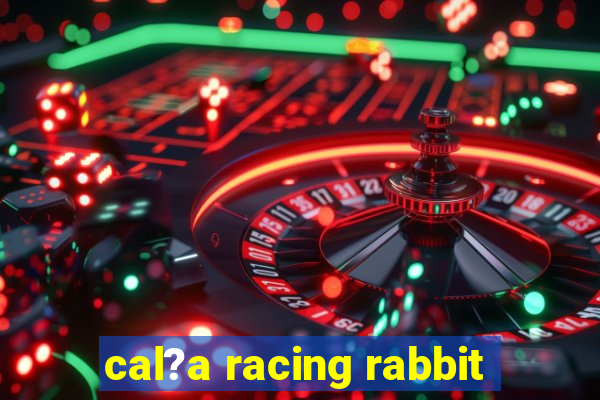 cal?a racing rabbit