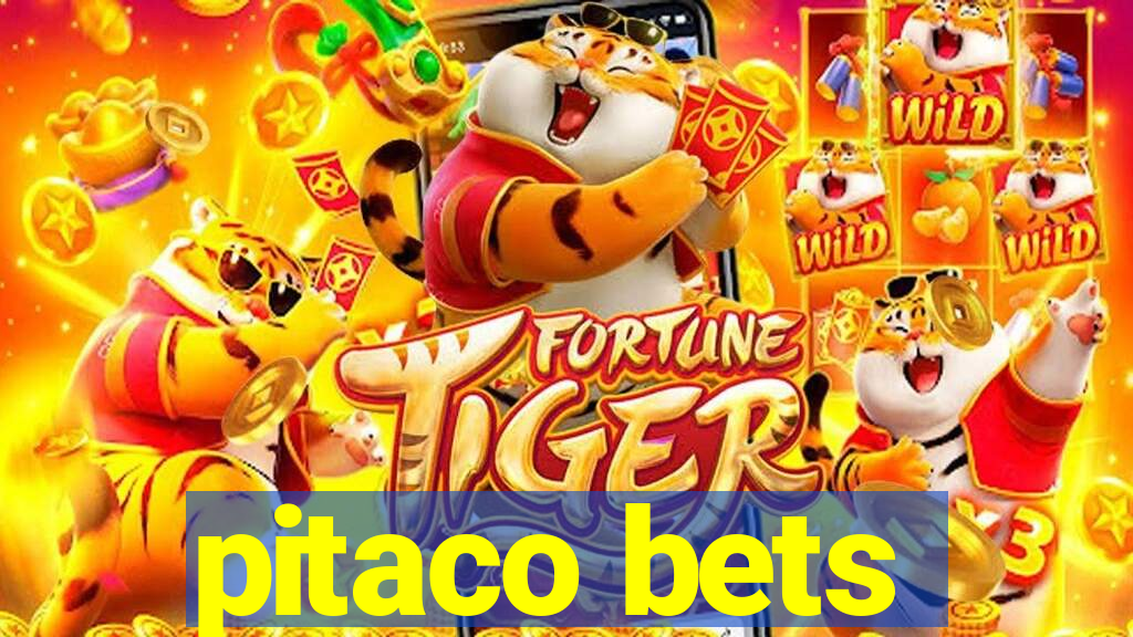 pitaco bets