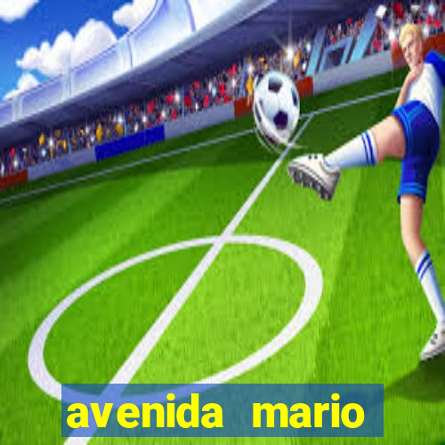 avenida mario andrade 563