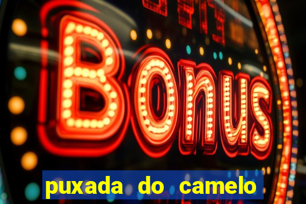 puxada do camelo jogo do bicho