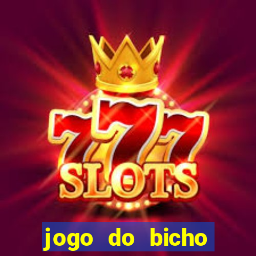 jogo do bicho online df