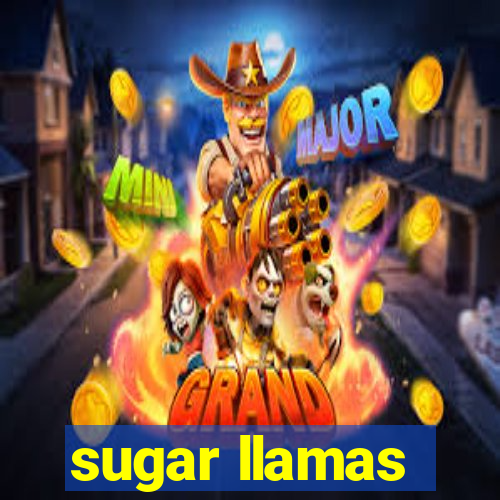 sugar llamas